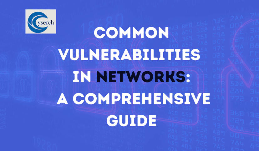 Common Vulnerabilities in Networks: A Comprehensive Guide